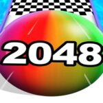 Couleur du rouleau à billes 2048